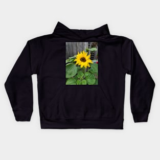 sunflowers posters, gift, for birthday happy birthday, beautiful flower Kids Hoodie